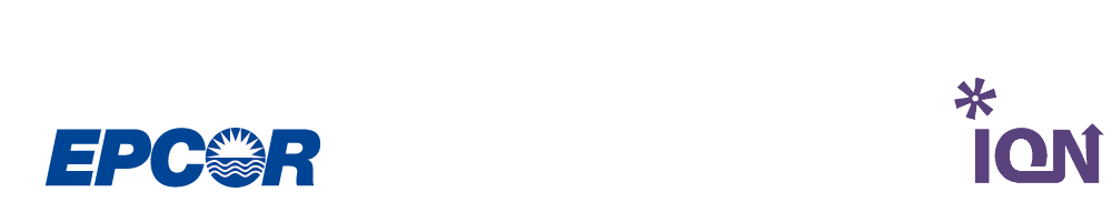 ION Print Solutions Logo